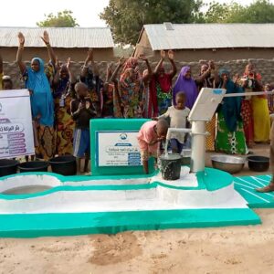 shallow well with hand pump